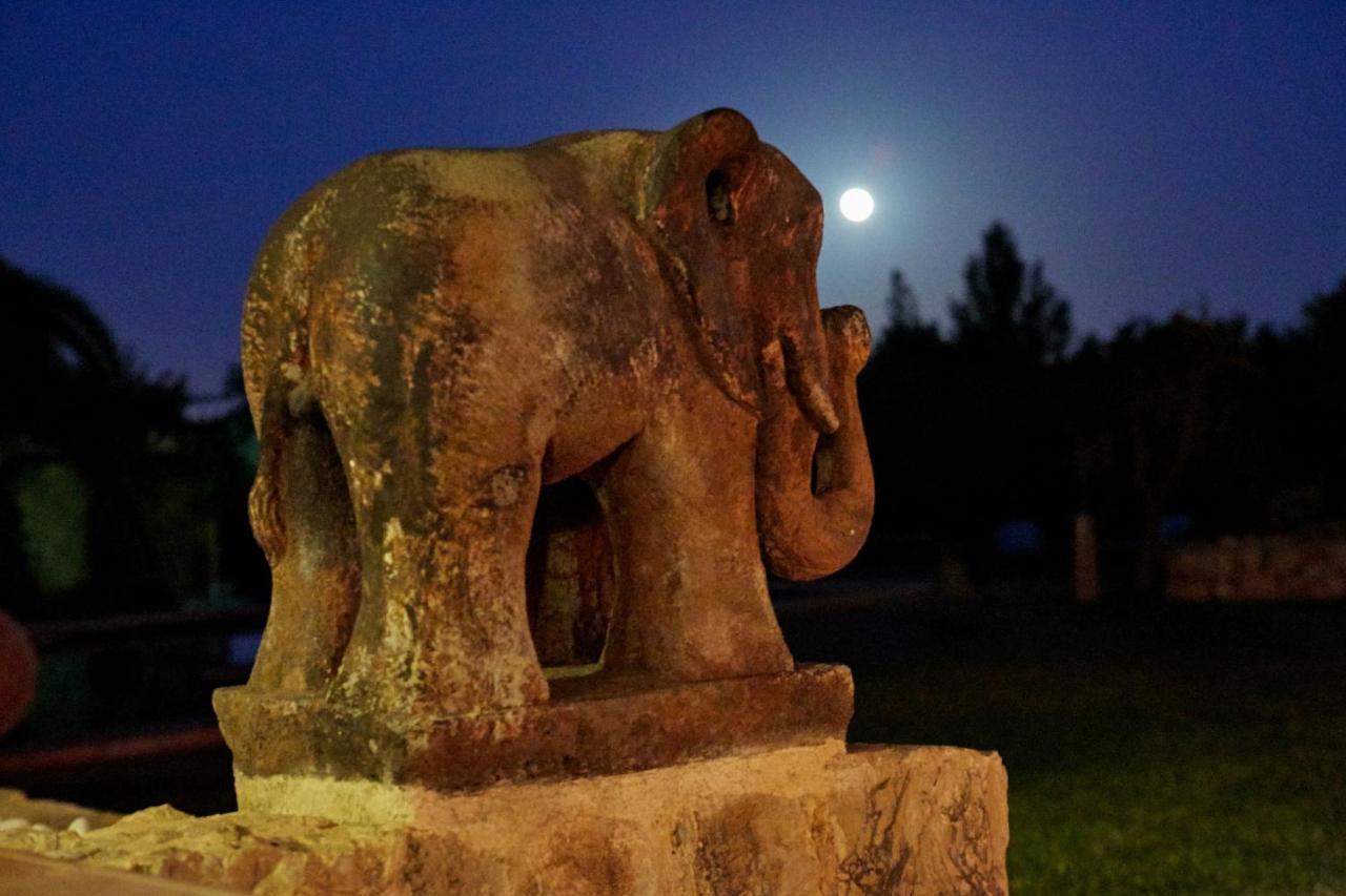 Finca La Salve Pollença Dış mekan fotoğraf